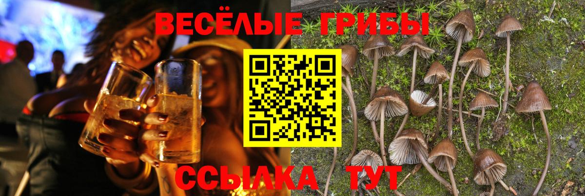 Костомукша  Псилоцибиновые грибы мухоморы  Вход с VPN  Галлюциногенные грибы Cubensis 